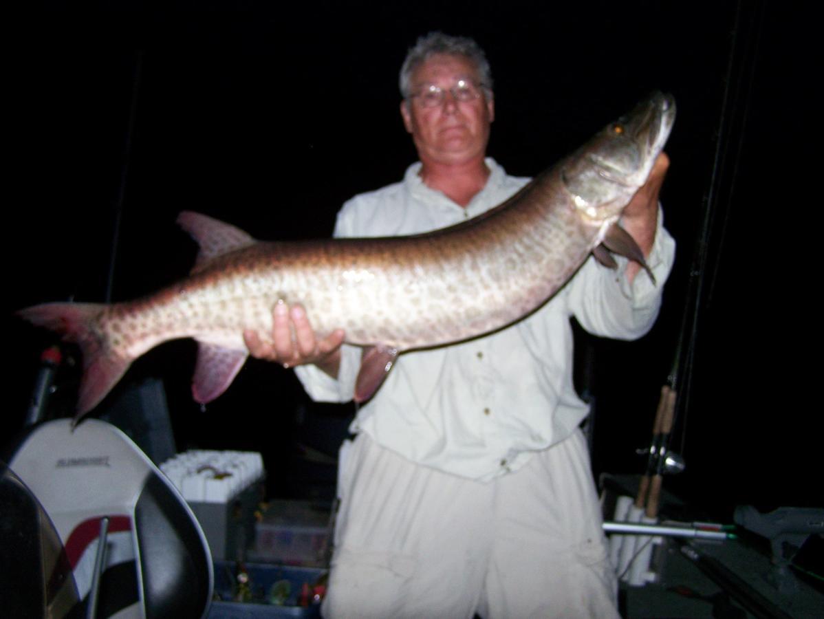 Nestor Falls Muskie Bay Resort المظهر الخارجي الصورة